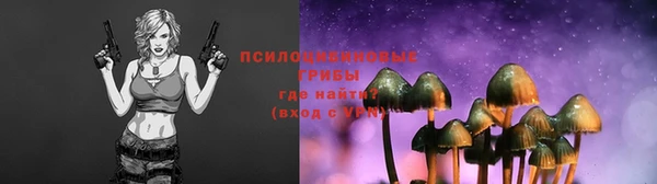 таблы Алзамай