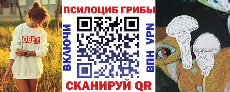 Псилоцибиновые грибы мицелий  площадка состав  Олонец 